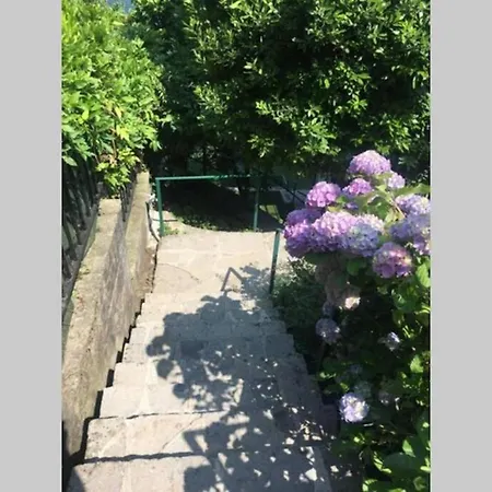 Daire Flat On Lake Como, Garden With Stunning View